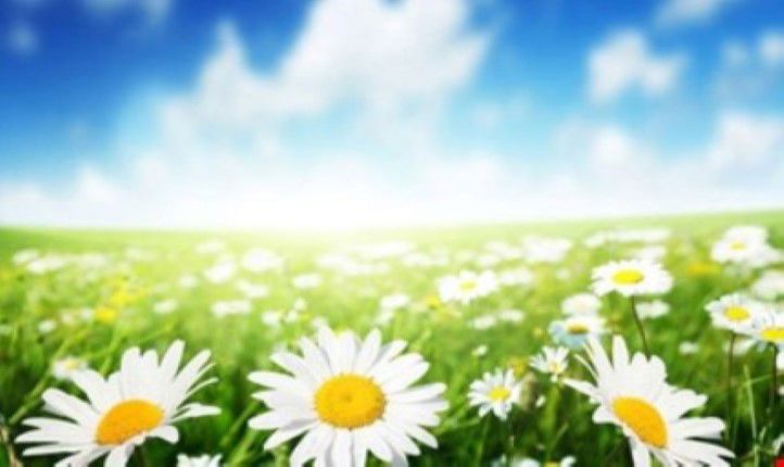 God sommer!