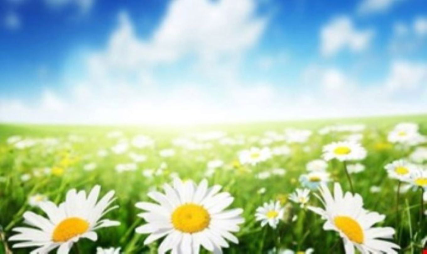 Foto: God sommer! God sommer!