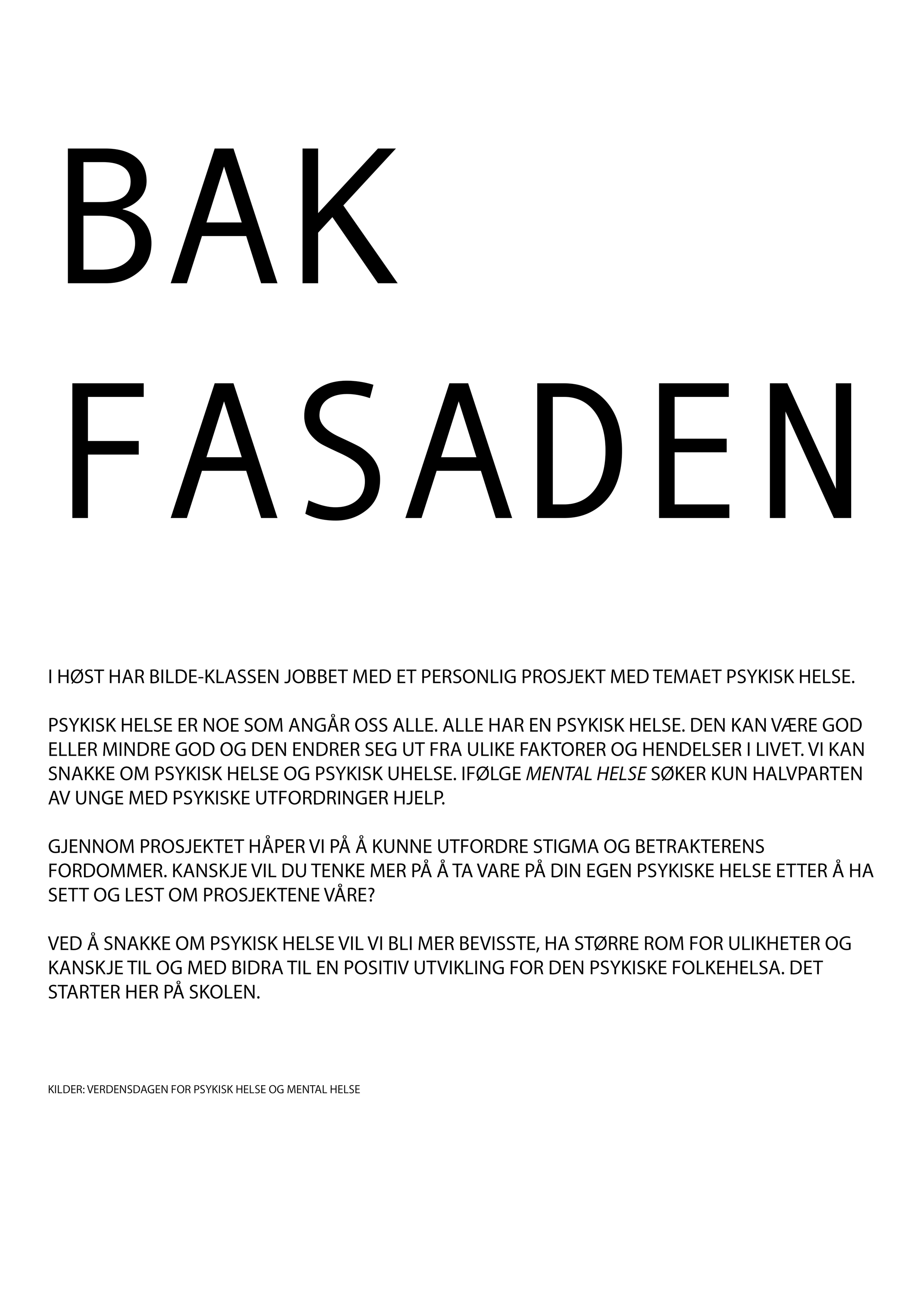 Tekstbeskrivelse av prosjektet "Bak fasaden"